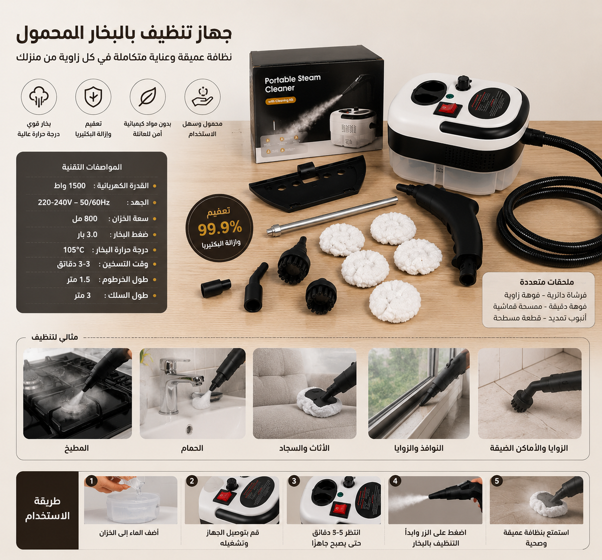 portable steam cleaner
