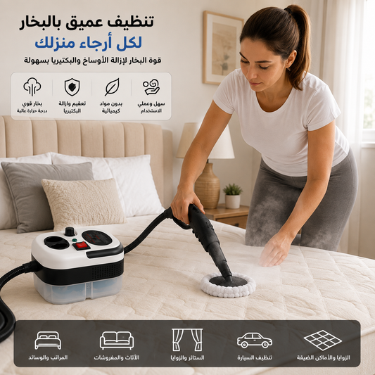 portable steam cleaner
